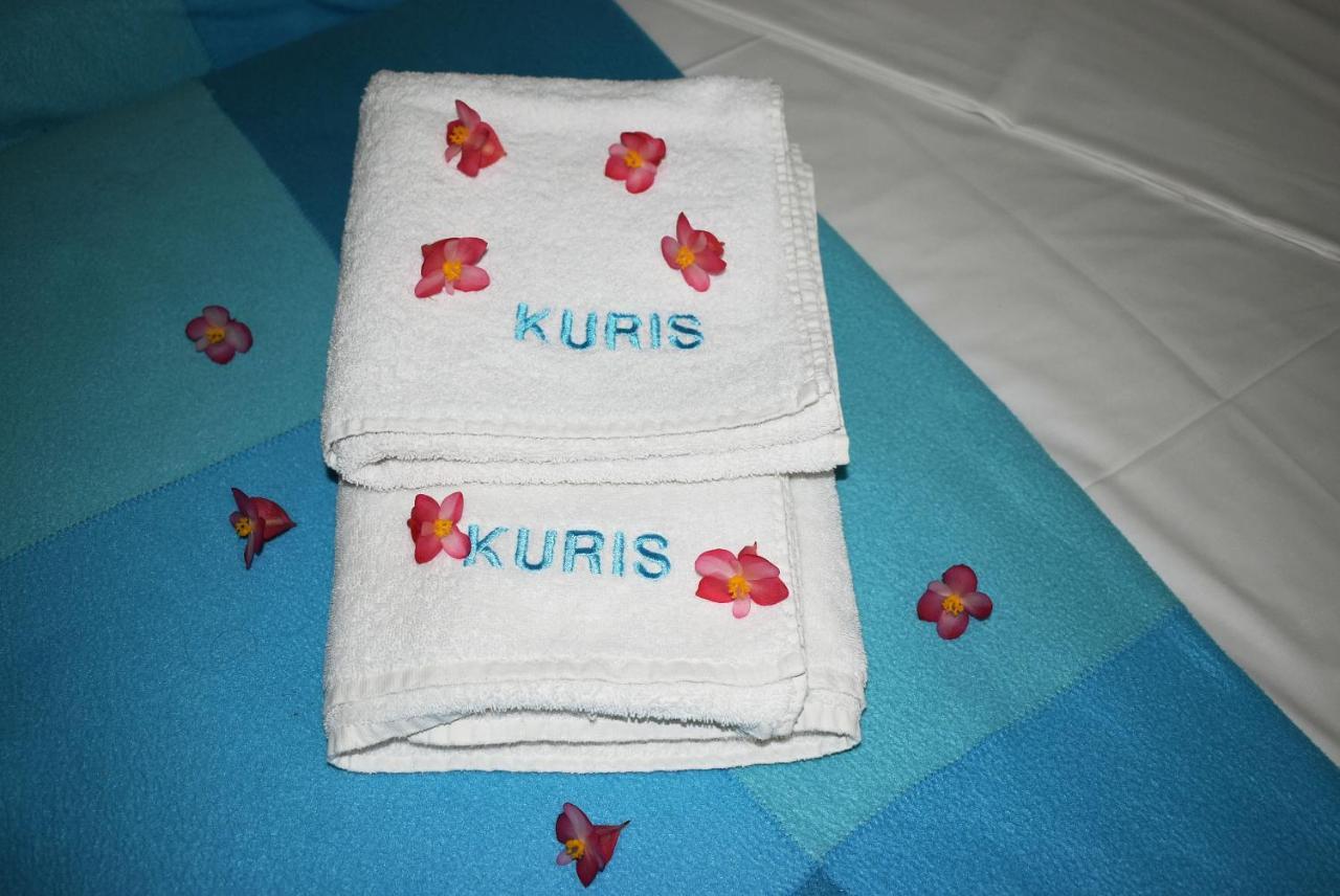 Kuris Studios & Apartments Vasilikí Esterno foto